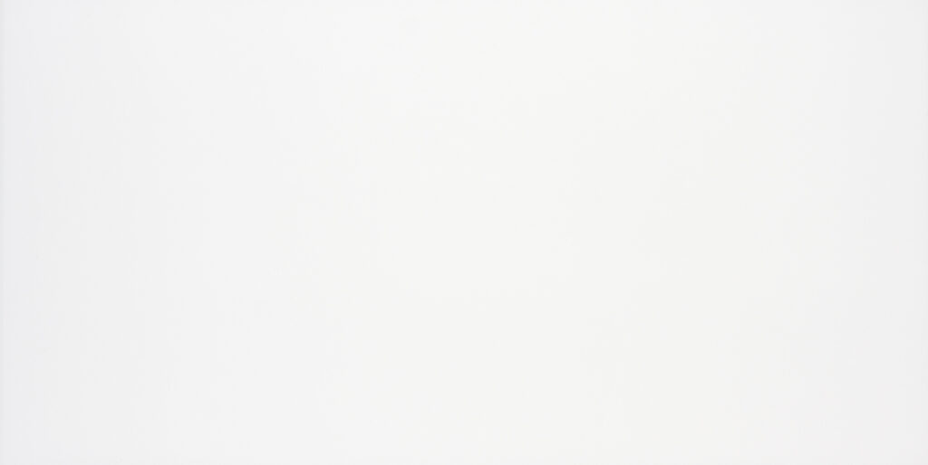 30x60 NATURAL WHITE