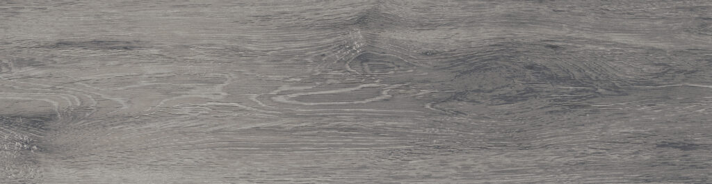 FOREST_GRAY_FC04_T5