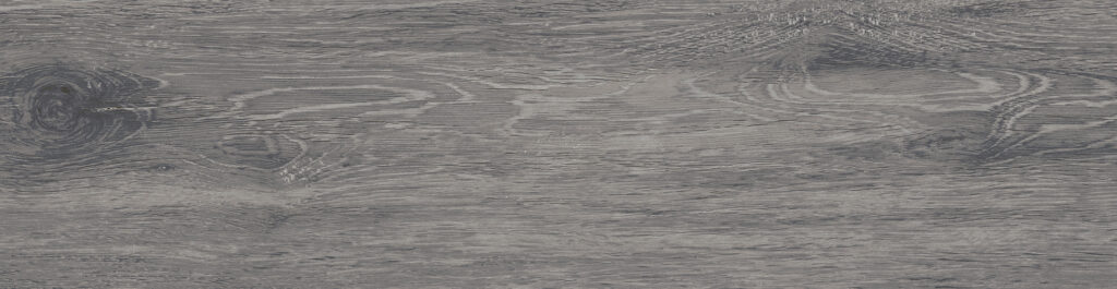 FOREST_GRAY_FC07_T5