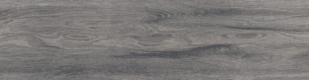 FOREST_GRAY_FC09_T5