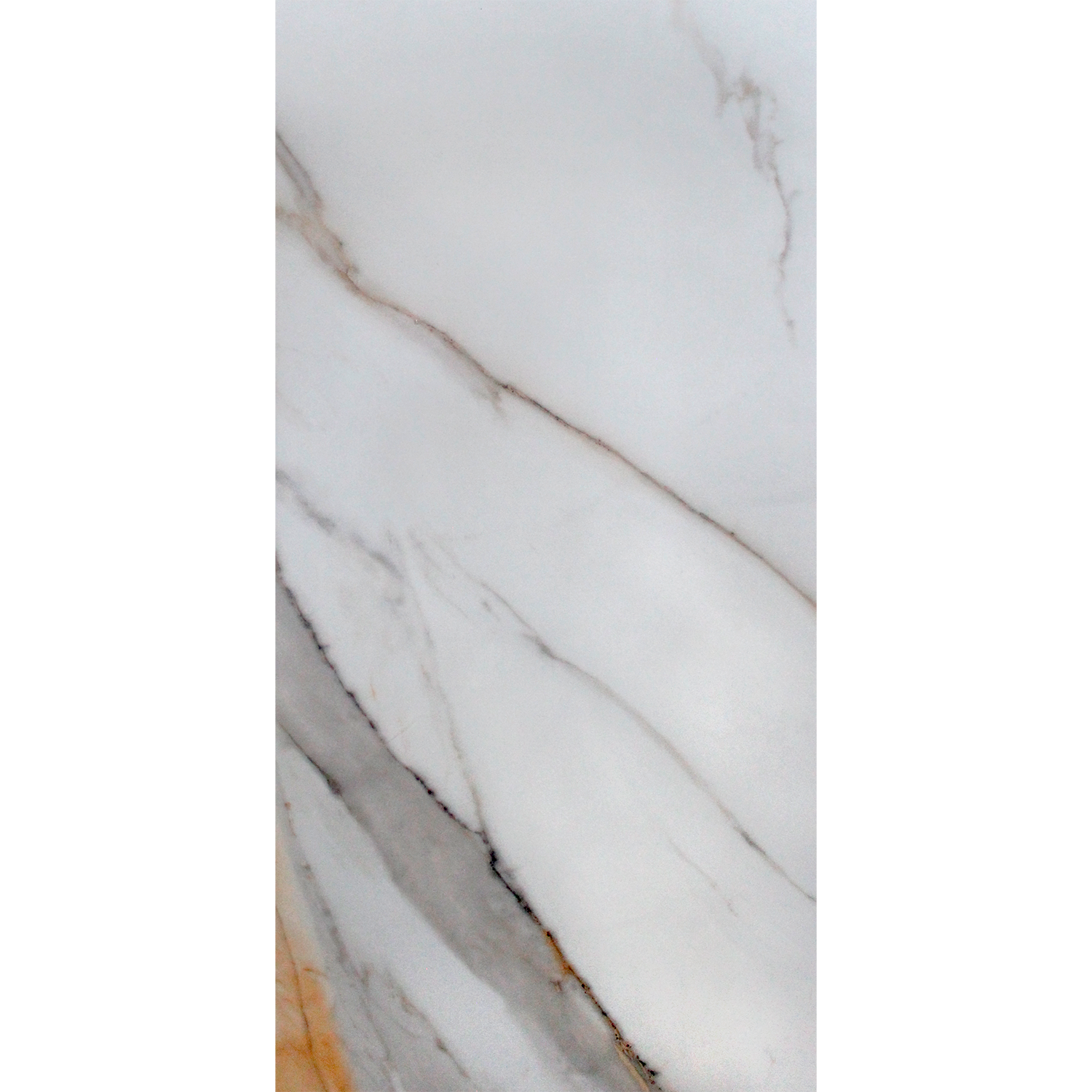calcatta-gold-60x120-